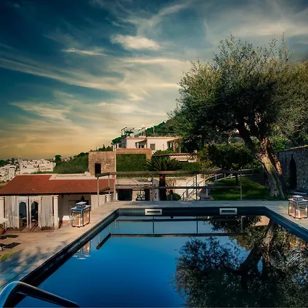 Demetra Capri - Pool And Relaxation